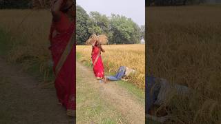 Anita Rajendrashorts shortsvideo shortsfeed youtubeshorts [upl. by Ferne635]