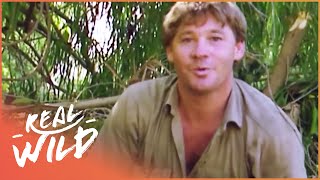 Steve Irwin Catches A Crocodile In Epic Battle [upl. by Ellednahs]