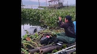 Strike Part 351 fishing mancing mancingmania kasting [upl. by Gregory]