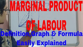 Marginal Product Of LabourWhat is Marginal Product of LaborMarginal Product Of Labour CurveMPL [upl. by Erie]