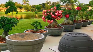 DIY How to make large Concrete Planters from A to Z Concrete Pottery [upl. by Parish]