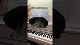 Когда ученик открыл ноты после праздников😅 pianissimopro pianissimoprohumor pianist [upl. by Bertero611]