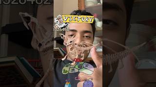 Victory  Luffy vs Kaido game  TikTok filter games  Extreme Amazing [upl. by Melodie]