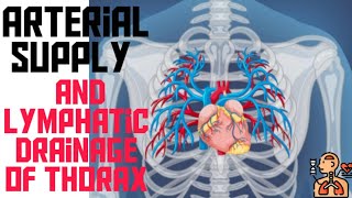 Arterial Supply And Lymphatic Drainage of Thorax By Dr Noman Rana [upl. by Vinni]