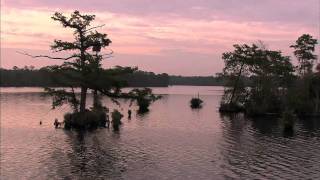 The Great Dismal Swamp Canal [upl. by Maurizio146]