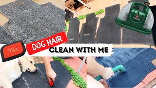 clean with me DOG HAIR CAR CLEANING BISSELL LITTLE GREENClean the dog hair out of your car [upl. by Nosiddam]