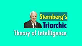 Sternbergs Triarchic theory of intelligence  Theories of Intelligence  tsineng [upl. by Erodisi]