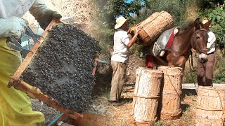 Apicultura tradicional Cuidado de abejas y confección de colmenas  Oficios Perdidos  Documental [upl. by Olsson145]