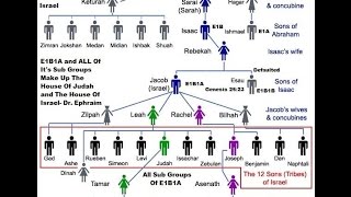 Genetics YDNA Haplotype of E1B1A [upl. by Zsamot]