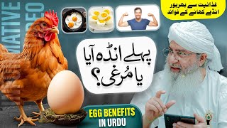 Pehlay Anda Aya Ya Murghi  Anda Khane Ke Faiday  Egg Benefits in Urdu  Haji Shahid Attari [upl. by Backer]