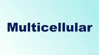 Multicellular Definition and Examples [upl. by Halimak]