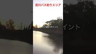 淀川バス釣りポイント！！淀川クイズです〜！！どこの場所かわかるかな？？わかる人は淀川マスター上級者です！わかる方はグッドボタンよろしくお願いします。shorts fishingバス釣り 淀川 [upl. by Eniledam781]