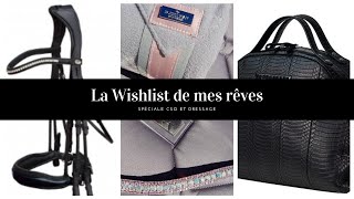 La Wishlist de mes rêves  Spéciale CSO et Dressage [upl. by Pegma127]