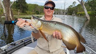 Fishing for Monster SARATOGA on Lake Borumba QLD  Fly Fishing vs Spin Reel [upl. by Tomkins763]