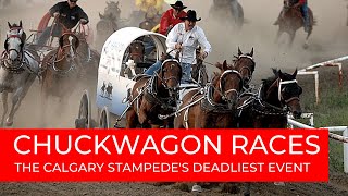 The Chuckwagon races The Calgary Stampedes deadliest event [upl. by Jeunesse984]