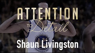 Shaun Livingston The Ultimate Role Player Breakdown [upl. by Ap]