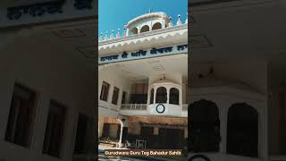 Gurudwara Shri Guru Teg Bahadur Sahib Ji  Sector 34 Chandigarh [upl. by Glynda]