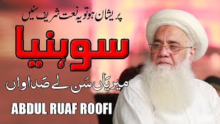 Sohneya meriya Sun Le Sadawan Wonderful Punjabi NAAT Sharif Professor Abdur Rauf Roof Best Naats [upl. by Goober]