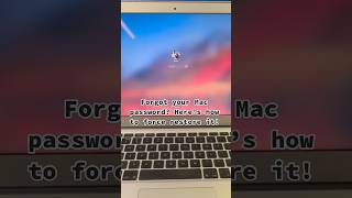 How to Force Reset Password on Mac  No Data Loss [upl. by Eadrahc]