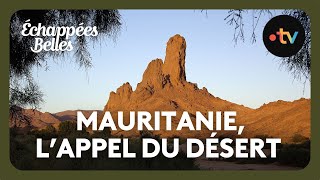 Mauritanie lappel du désert  Échappées belles [upl. by Ahrens]