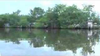 Water Taxi from Almirante to Bocas del Toro [upl. by Towers]