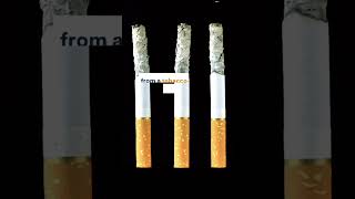 World No Tobacco Day 2024 [upl. by Lukin359]