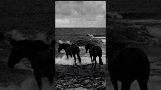 The seventh seal 1957 darkatmosphere aesthetic vhs ambientmusic cassette nostalgia [upl. by Nibot]