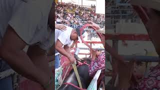 Solo para valientes Las montas más atrevidas del jaripeo 🐂 JaripeoValiente FiestaCharra toros [upl. by Ahsemrak]