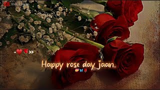 Mere Liye Meri Duniya Ho Tum ♥ Happy Rose Day Jaan💝🌹Rose Day Status 2024 Happy Rose Day Status [upl. by Dnomso]