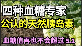 这四种食物，被血糖专家称为“天然胰岛素”、糖尿病的克星，每天换着吃，血糖值再也不会超过51！【本草养生大智慧】 [upl. by Ardnuasak309]