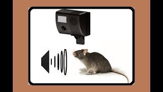 RODENT REPELLENT SOUND 19hz [upl. by Ahsekahs]