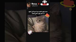 جزء2😹exploreاكسبلورانميمانهوامانجانطالببطردالاوتاكولليابانanimemanhwamangashortsotaku [upl. by Analeh337]