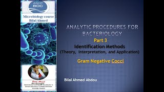 free Microbiology Course For ASCP Exam Gram Negative Cocci [upl. by Mirak]