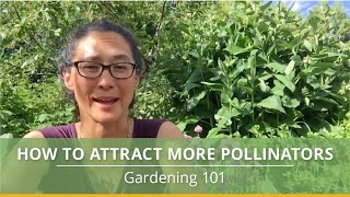 3 Easy Ways to Attract Pollinators to Your Garden [upl. by Joo]