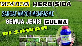 Herbisida Paling Ampuh Membasmi Gulma pada Tanaman padi 🌾 [upl. by Rennob]