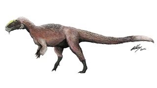 Feathered TRexlike Dinosaur Discovered is Largest Ever Found [upl. by Amiel739]