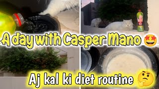 A Day With Casper amp Nimo  A DAY IN THE LIFE WITH MY CATS  The Casper Home Family [upl. by Solohcin]