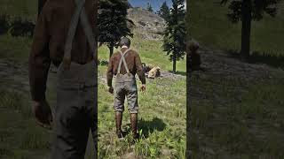 p591 Simulate great survival skills  shorts [upl. by Alyam809]