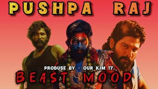 Pushpa Raj Character X Beast BGM Pushpa 2 Trailer Upadate Allu Arjun Sukumar Mythri Movie Makers [upl. by Sudderth]