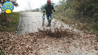 INCREDIBILE QUANTITA DI FOGLIE PROVO IL  POTENTE SOFFIATORE ELETTRICO A BATTERIA SE LA CAVA [upl. by Nythsa]