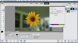 Photoshop Elements Tutorial  Selections and the selection tools [upl. by Ssegrub470]