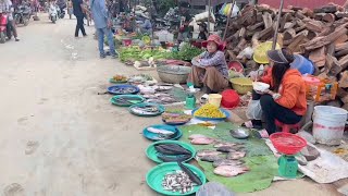 Amazing Street Food amp Market In Cambodia  Fish Vegetables Fruits Meat Seafood food [upl. by Velleman]