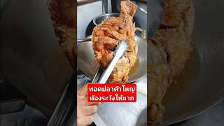 ทอดปลาตัวใหญ่ต้องระวังให้มากๆ ครัวเตยหอม อาหารตามสั่ง cooking อาหาร ข้าวกล่อง [upl. by Akiemaj]