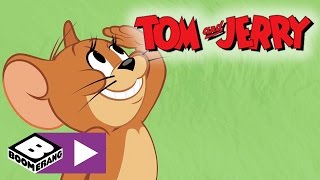 Tom amp Jerry  Tappa tänder  Boomerang Sverige [upl. by Idel197]