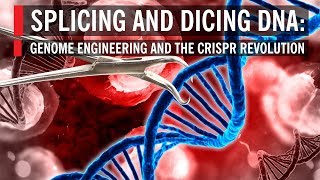 Splicing and Dicing DNA Genome Engineering and the CRISPR Revolution [upl. by Rosinski]