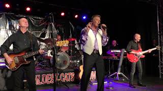 MARTY WILDE amp THE WILDCATS Jezebel WILDEST CATS IN TOWN XMAS 2017 Pontins Pakefield [upl. by Pardoes891]