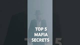 What I Learned from Exposing MAFIA SECRETS [upl. by Aelram]