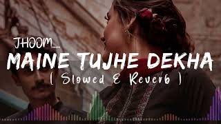 Maine Tujhe Dekha Jhoom  Lofi Mix  Instagram Trending LoFi Ali Zafar  Slowed Lofi  lofi [upl. by Crescin468]