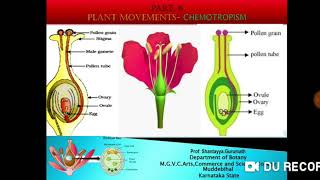 Plant Movements Chemotropism [upl. by Naashar]