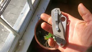 Spyderco Para 3 CPM MAXAMET micro stone wash gray g10 [upl. by Lorilyn293]